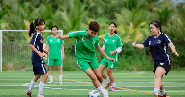 Cá cược thể thao uy tín