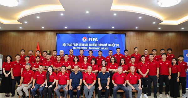 KJC cược thể thao