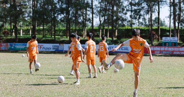 Nhà cái quốc tế